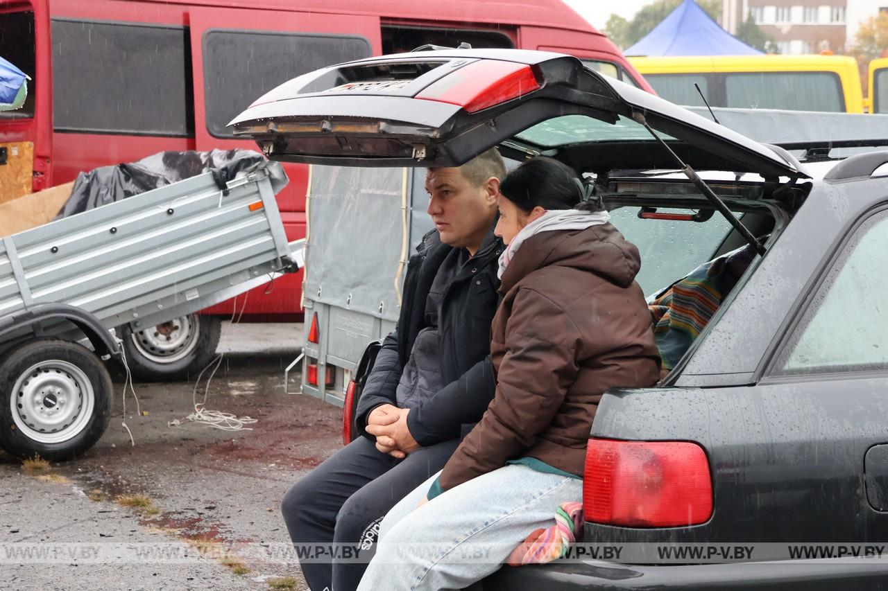 Саженцы и продукты на ярмарке