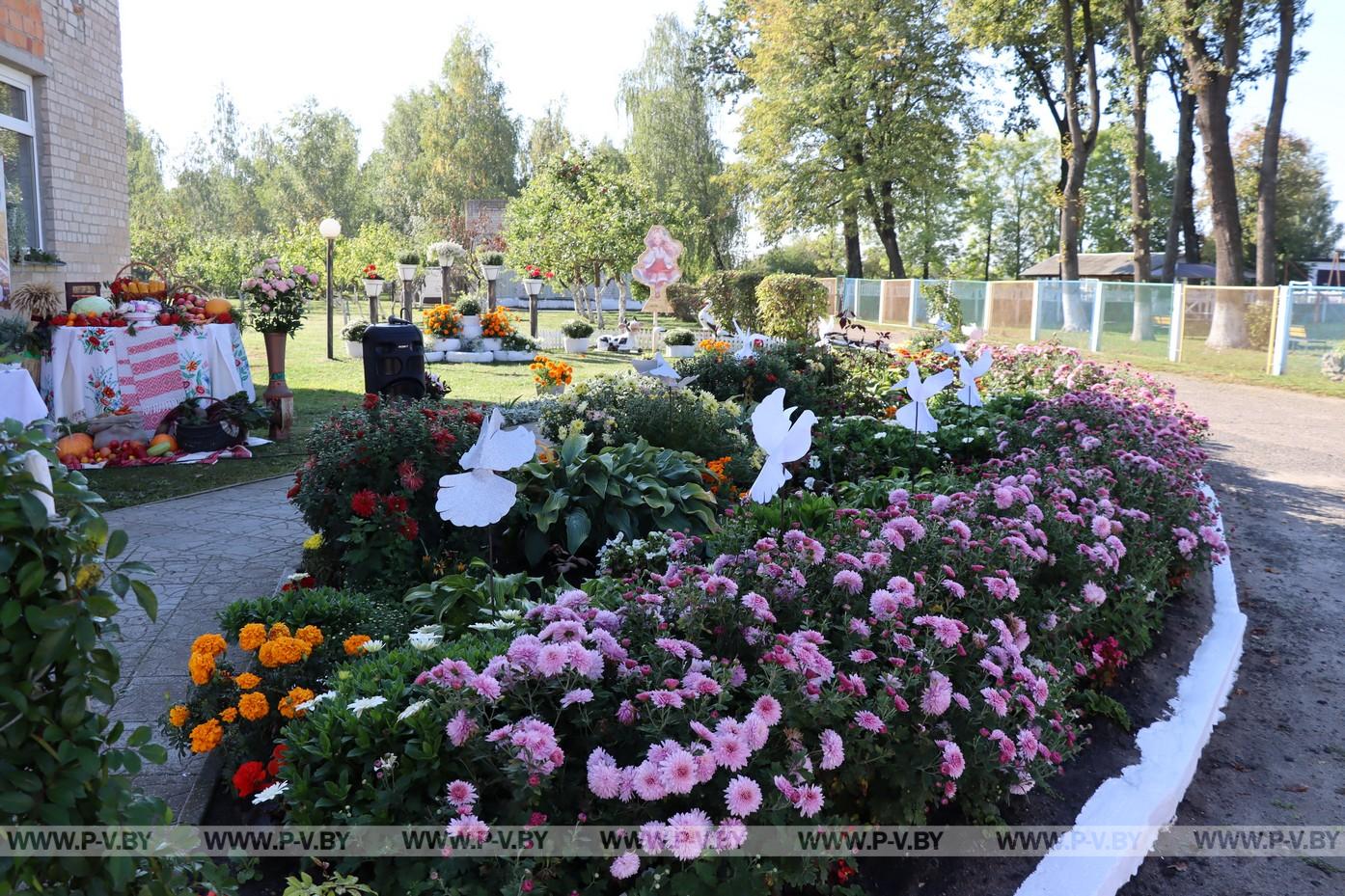 В пансионате «Меречанка» выбрали лучшие клумбы