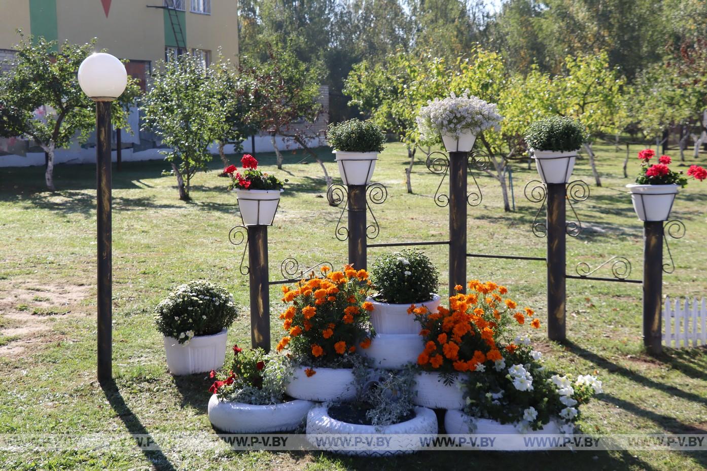 В пансионате «Меречанка» выбрали лучшие клумбы