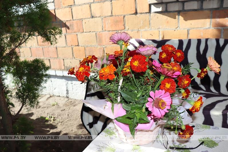 Огородное мастерство Аллы Островской из Любеля
