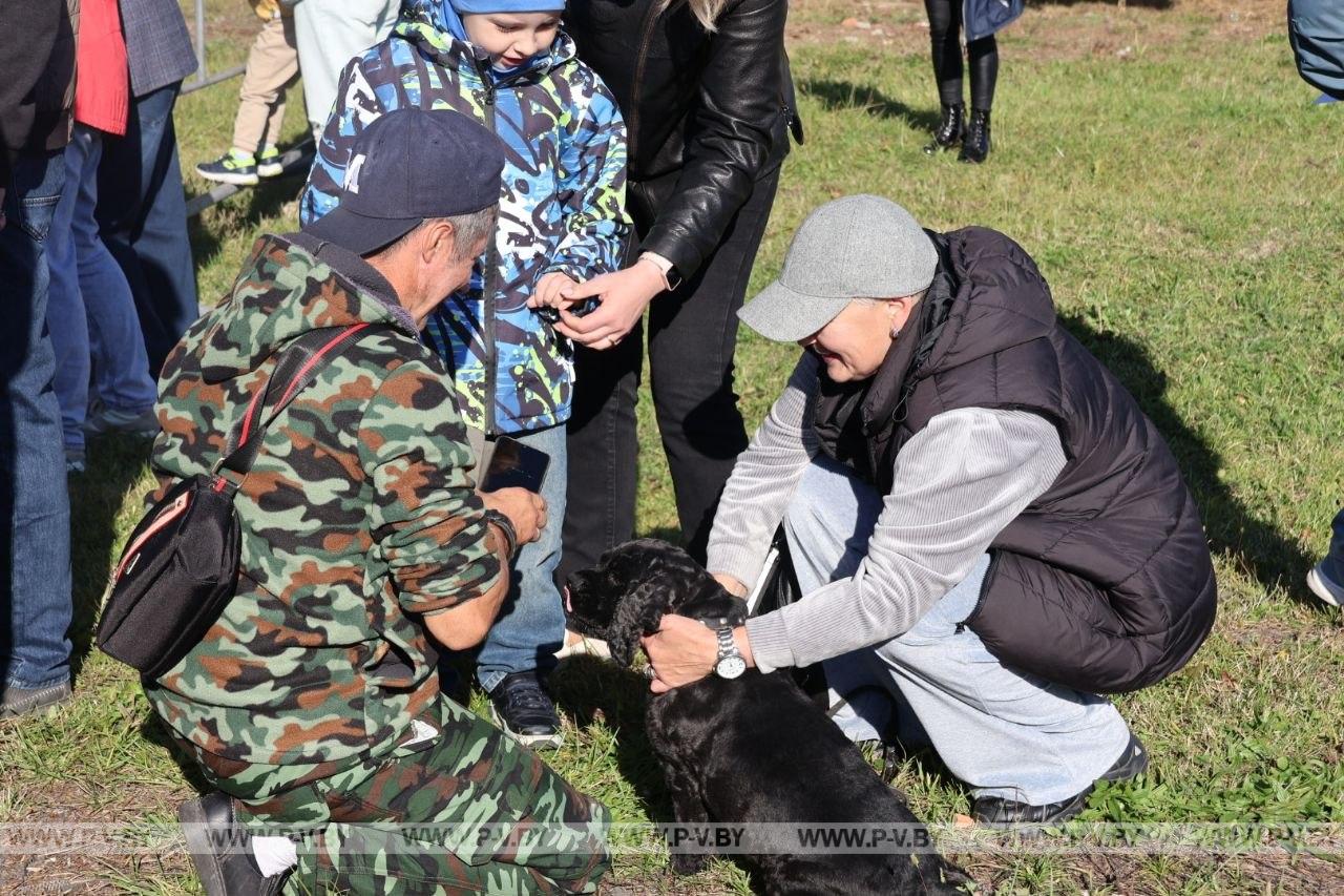 Кинологический праздник «Симфония преданных сердец» открылся на стадионе «Припять»