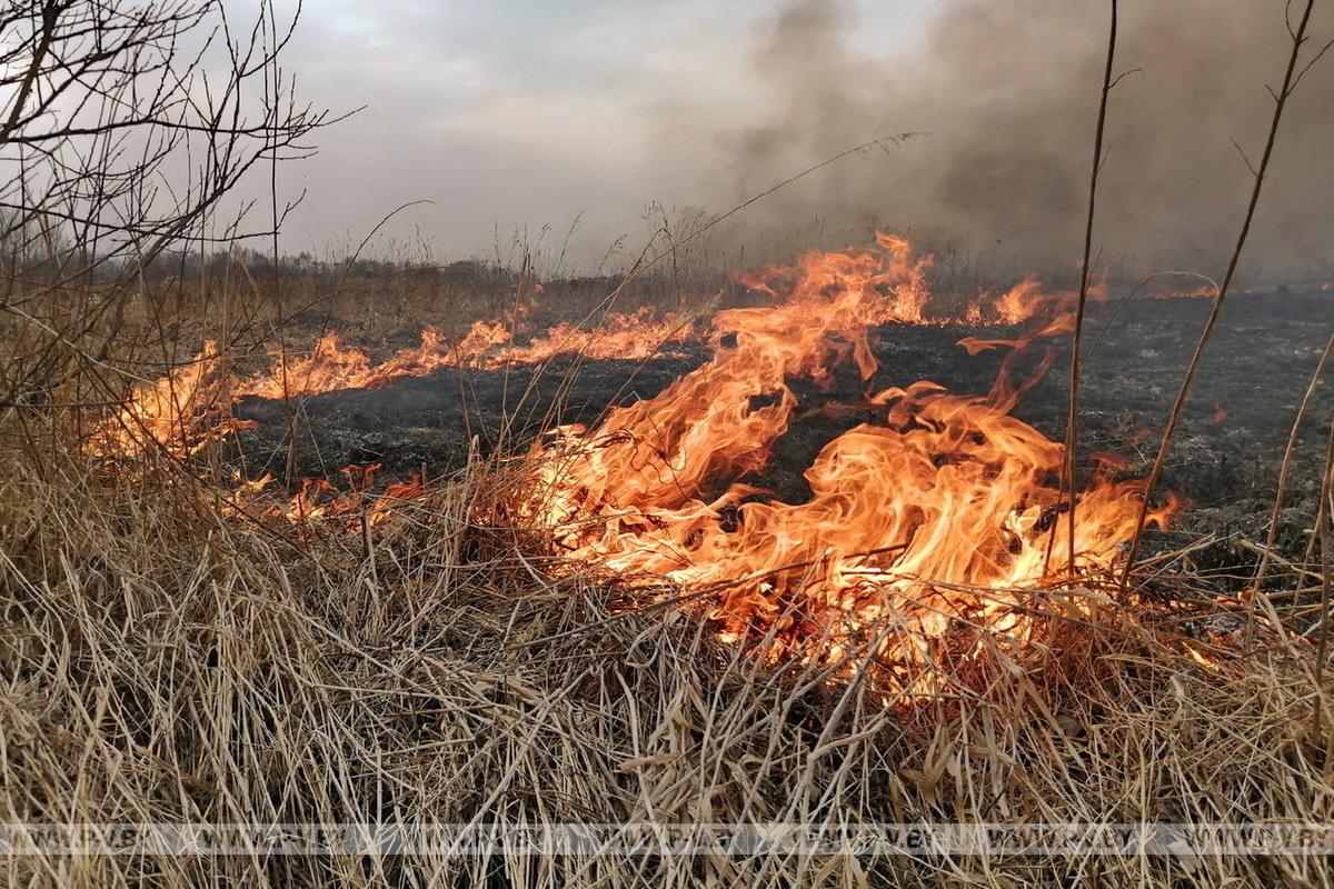 Не допусти палов сухой растительности! Не допусти палов сухой растительности!