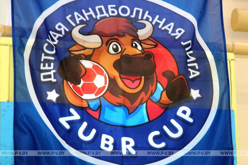 Возвращение ручного мяча Возвращение ручного мяча