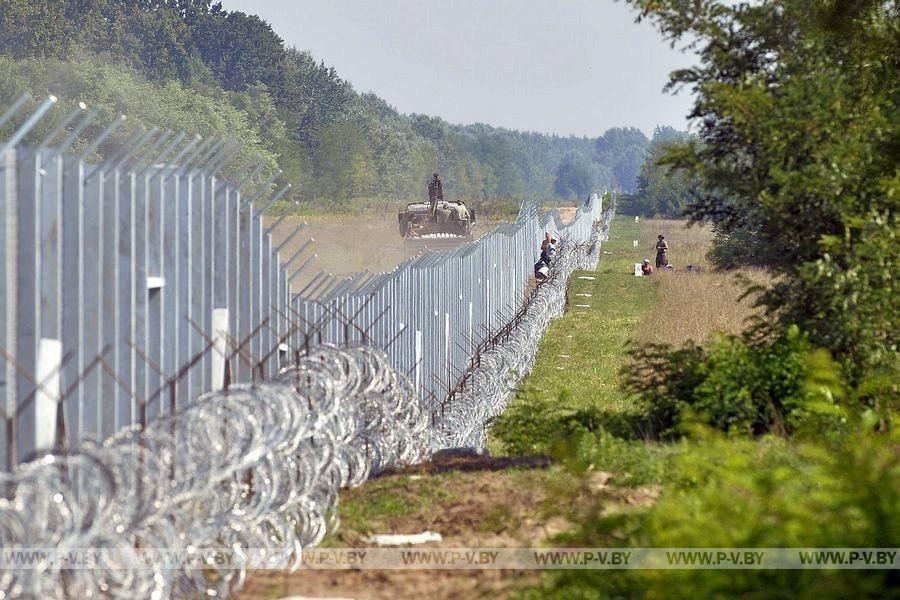 Не будьте равнодушны! Подпишите петицию: Нет строительству забора в «Беловежской пуще»