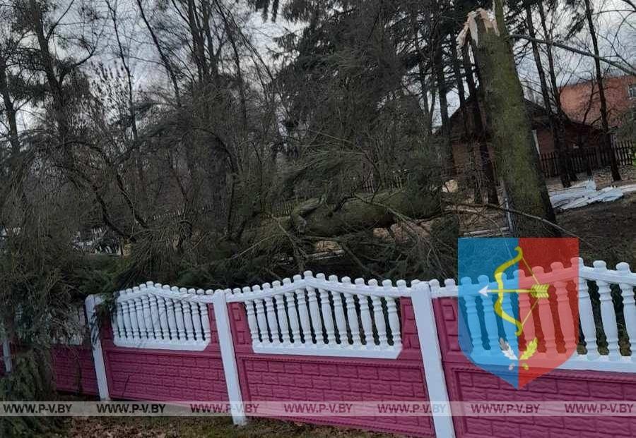 В Пинском районе устраняют последствия «девятибалльного» шторма