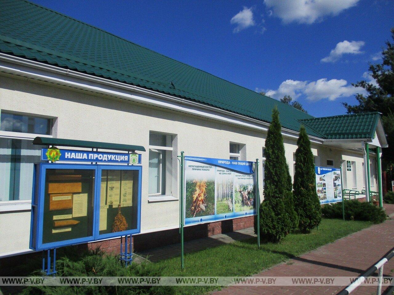 В Пинском лесхозе готовятся к «сочному сезону». Массовый сбор березового сока начнется со следующей недели