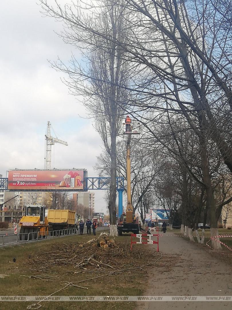 Стало известно, что появится на месте спиленных тополей на улице Первомайской Стало известно, что появится на месте спиленных тополей на улице Первомайской